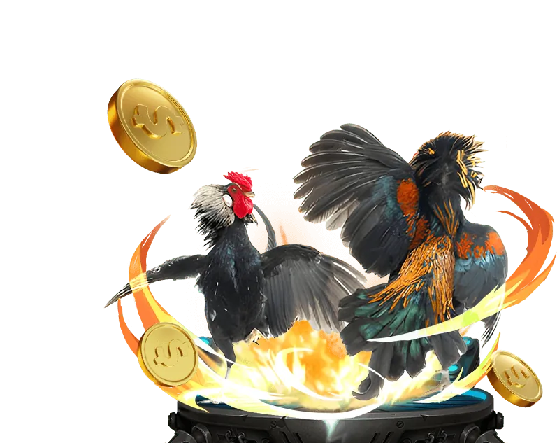 Trường gà trực tuyến VN23